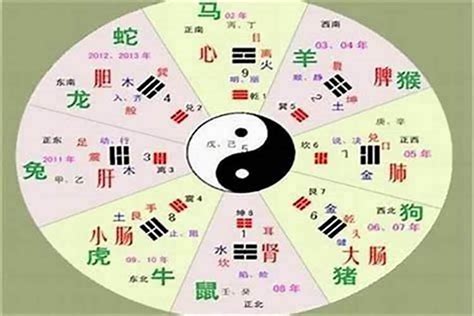 五行俱全|易道传统文化研究院：命理五行齐全就是好命吗？缺的五行应该如。